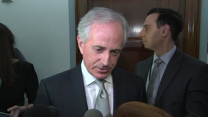 美 상원 외교위원장 "백악관은 성인 탁아소" / YTN