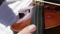 Mesmerizing Violin Cover - Free Fallin' by Tom Petty  Rob Landes