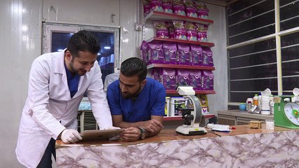 A Bagdad, des animaux des rues sauvés grâce aux réseaux sociaux