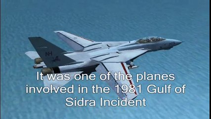 Death of Revlon (Kara Hultgreen's 1994 F-14 Tomcat crash)