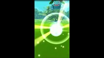 CATCHING RARE POKEMON WITH POKEBALLS #6! Snorlax,Charizard,Unown Pokemon GO