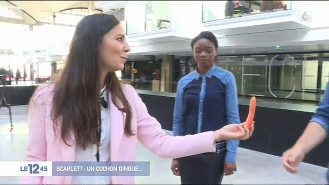 Des cochons pour aider et apaiser les salariés français ? Regardez