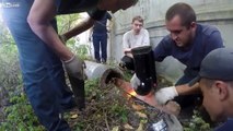Nine lives and counting! Tiny kitten rescued from pipe in Voronezh