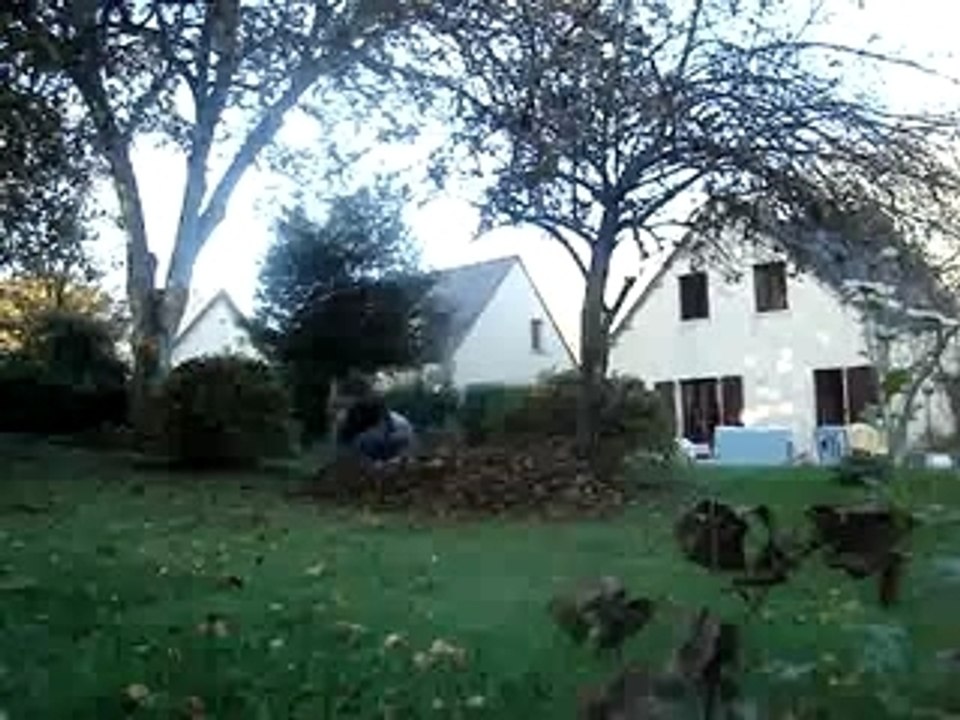 Jump dans les feuilles xD