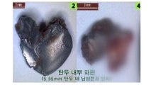 철원 '총탄 사망' 병사, 도비탄 아닌 유탄 맞았다 / YTN