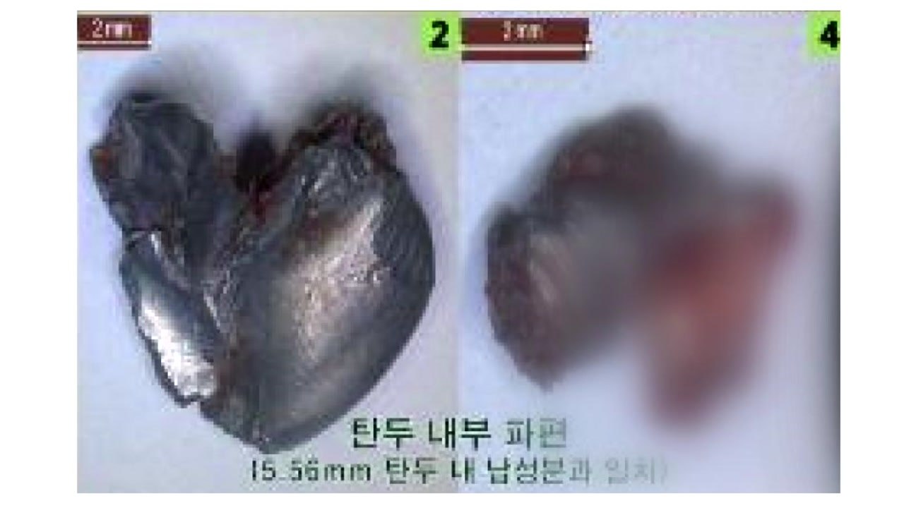 철원 '총탄 사망' 병사, 도비탄 아닌 유탄 맞았다 / YTN