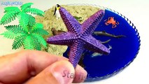 Learn Sea Animals Names Mini Beach Slime Kinetic Sand Safari Ltd Fun Toys For Kids