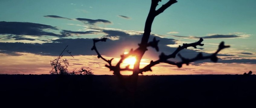 Le Bump stock , ce dispositif qui a permis au tueur de Las Vegas de faire encore plus de victimes