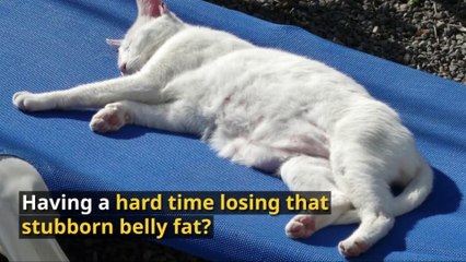 5 Foods To Never Eat For A Flat Stomach… Not Even On “Cheat Days”