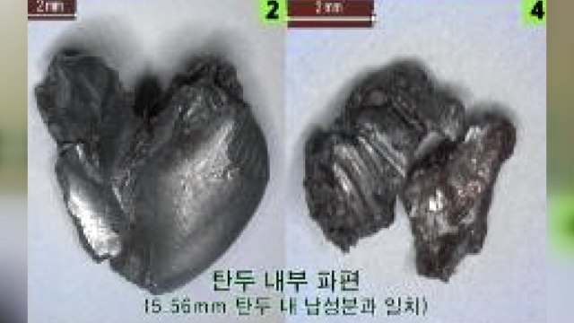 軍 철원 병사 표적 벗어난 탄 맞고 숨져 ...간부 3명 구속영장 / YTN