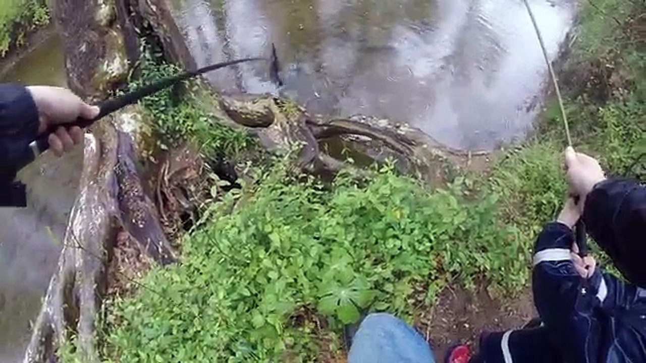 Creek fishing for bluegill, sunfish and bream - pole fishing