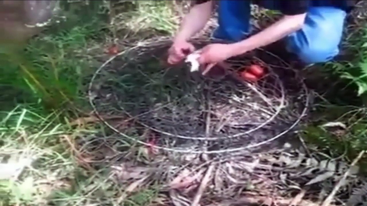 Fishing Cambodia - cambodia net fishing, catching fish by hand