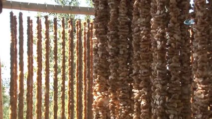 Kayseri'de Ceviz Sucuğu Hazırlıklarına Başlandı