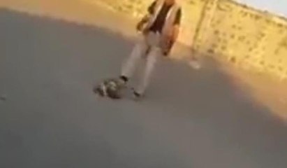 Vahşet kamerada... Yavru köpeği tekmelerle öldürdü