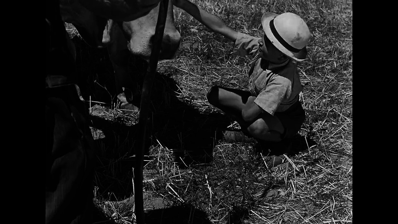 Farrebique Extrait