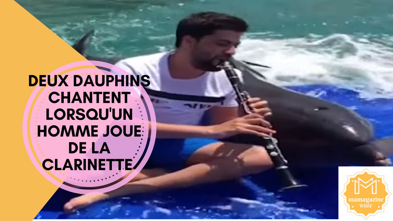Deux dauphins chantent lorsqu'un homme joue de la clarinette!!