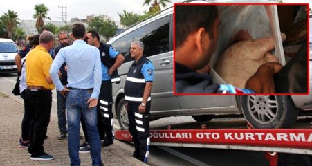 İhbar Üzerine Durdurulan Minibüste 420 Kilo Domuz Eti! Millete Yediremeden Yakalandılar