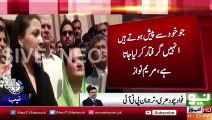 Fawad Chaudhry Befitting Response To Maryam Nawaz