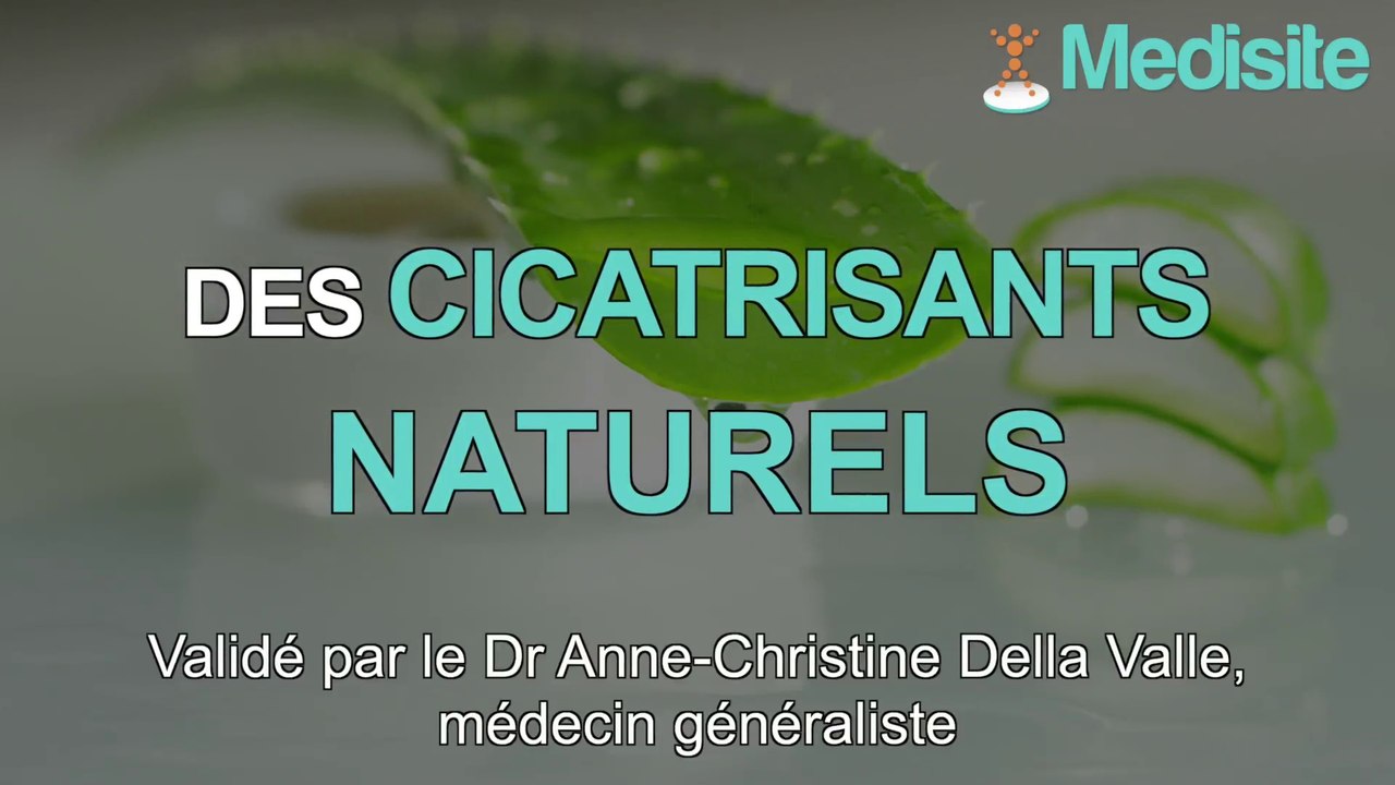 Top 3 des cicatrisants naturels