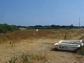 La preuve que le bonheur est dans le pré...