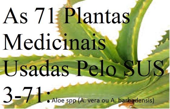 babosa plantas medicinais utilizadas pelo sus 3 71