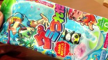 Fun: Japans snoep maken! (Kracie Gumi Tsureta, Popin Cookin)