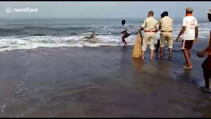 Man tries to catch crocodile with bare hands