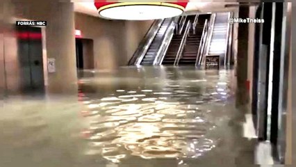Tempestade "Nate" deixa rasto de alforrecas à entrada do Alabama