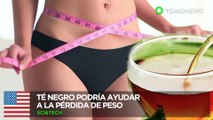 ¿Té negro para perder peso? La ciencia dice que es posible - TomoNews