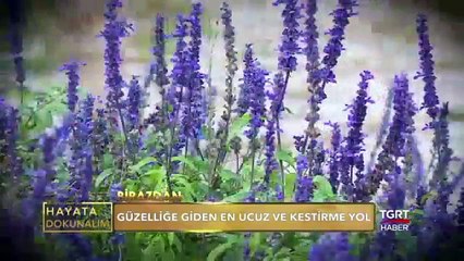 Gülce Yalçınkaya İle Hayata Dokunalım - 08 Ekim 2017