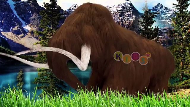 Surprise Egg 3D Kinder Joy Dinosaurs Finger Family Nursery Rhymes By KidsW