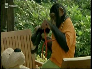 Il nostro amico Charly 12x07 - Charly il batterista