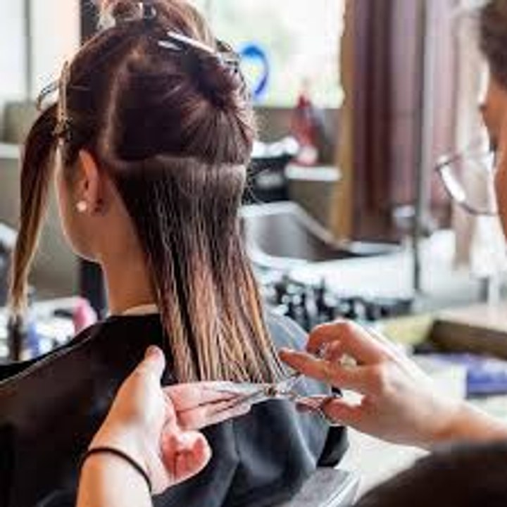 Braid Chopping Demo