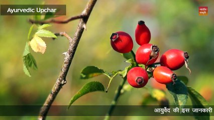 ये आरोग्यदायी घरेलू औषधियां आपको 100 साल तक जिंदा रखेगीं।-ayurvedic home remedies