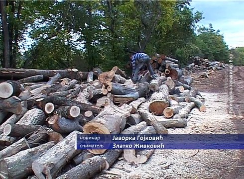 U Boljevcu velika potražnja za ogrevnim drvetom, 09. oktobar 2017. (RTV Bor)