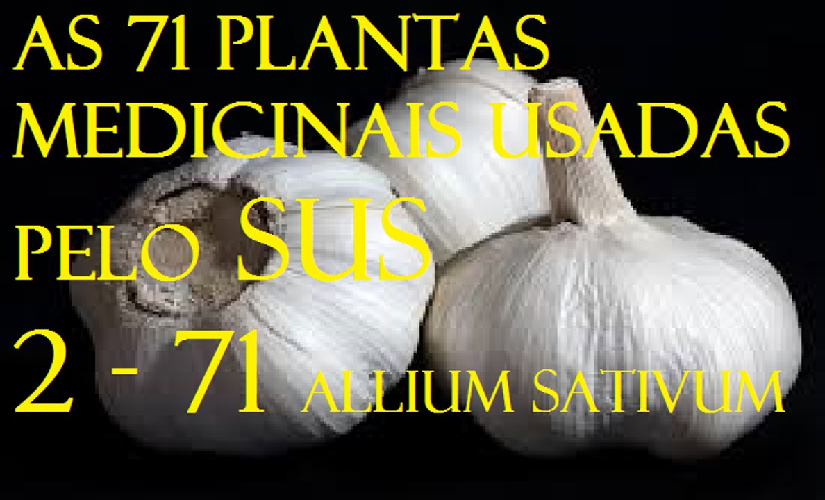 alho plantas medicinais utilizadas pelo sus 2   71