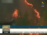Portugal: Reportan seis grandes incendios alrededor del país