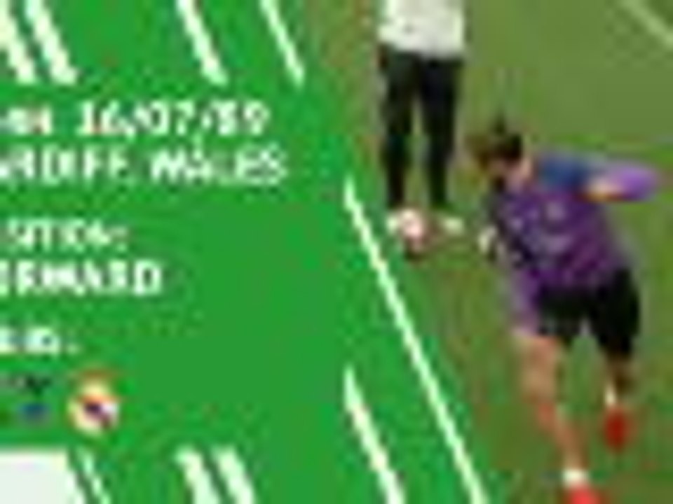 Gareth Bale - player profile