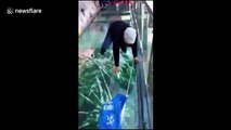 Tourist terrified by new glass walkway that cracks under weight