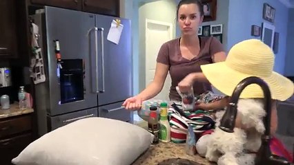 STRANDED ON AN ISLAND FOR 24 HOURS CHALLENGE | WILL THE SHARKS GET US?