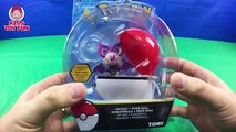 Pokemon Toys Battle Cuebone Espurr Noibat Pikachu Pokeballs & Tomy Pokemon Carrying Case Video