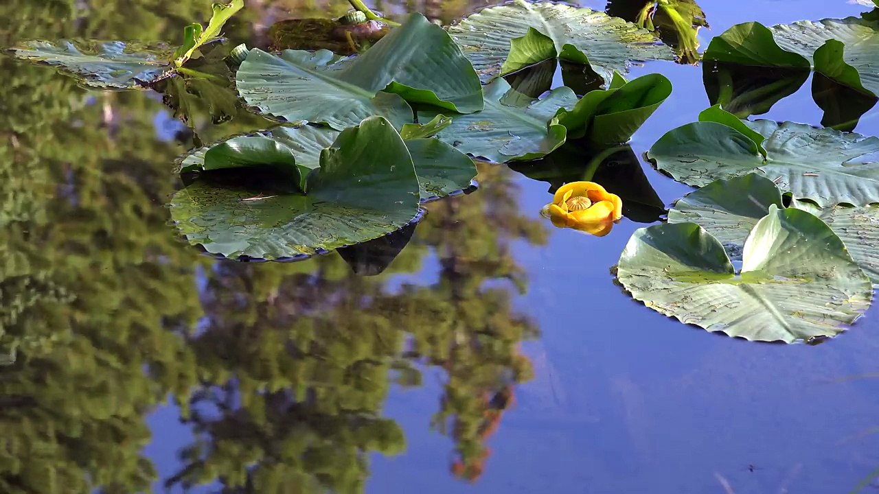 Rocky Mountain National Park, Colorado, USA in 4K (Ultra HD)