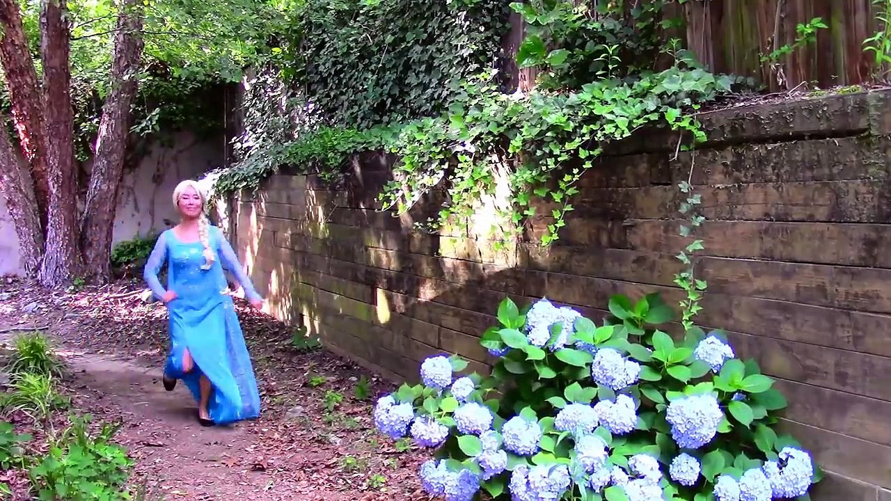 Elsa get Blackeye vs Spiderman & Fly: Funny superhero video