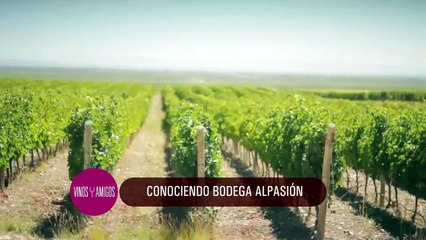 Vinos y Amigos Programa 175 Bloque 3