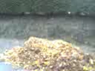 Thibaut fait le saut de l'ange