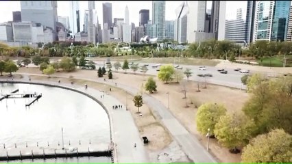 Woman Runs Chicago Marathon to Honor Late Husband on 40th Wedding Anniversary