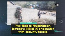 Two Hizb-ul-Mujahideen terrorists killed in encounter with security forces