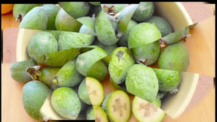 Feijoa - Fruit of Acca Sellowiana