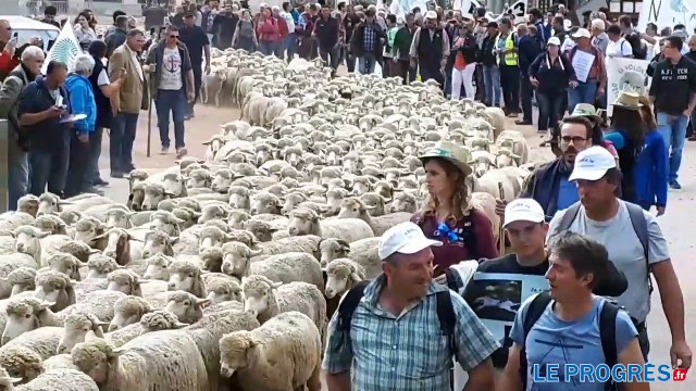 Défilé éleveurs à Lyon