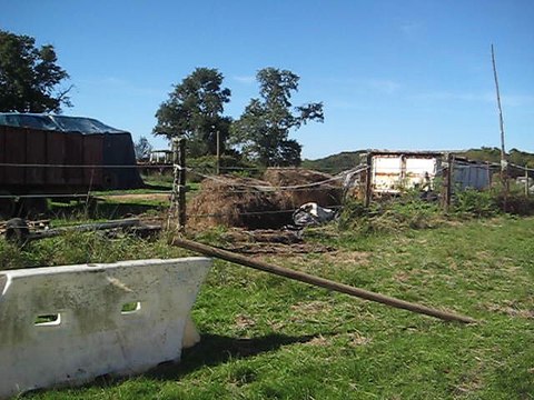 croix galop bis fandango